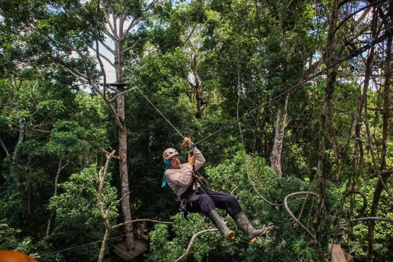 Avatar Amazon Lodge & Canopy Park