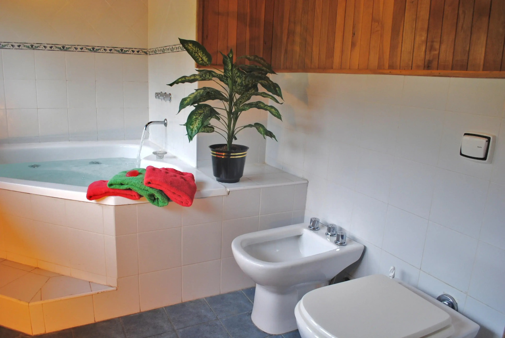 Apart Hotel del Pellín