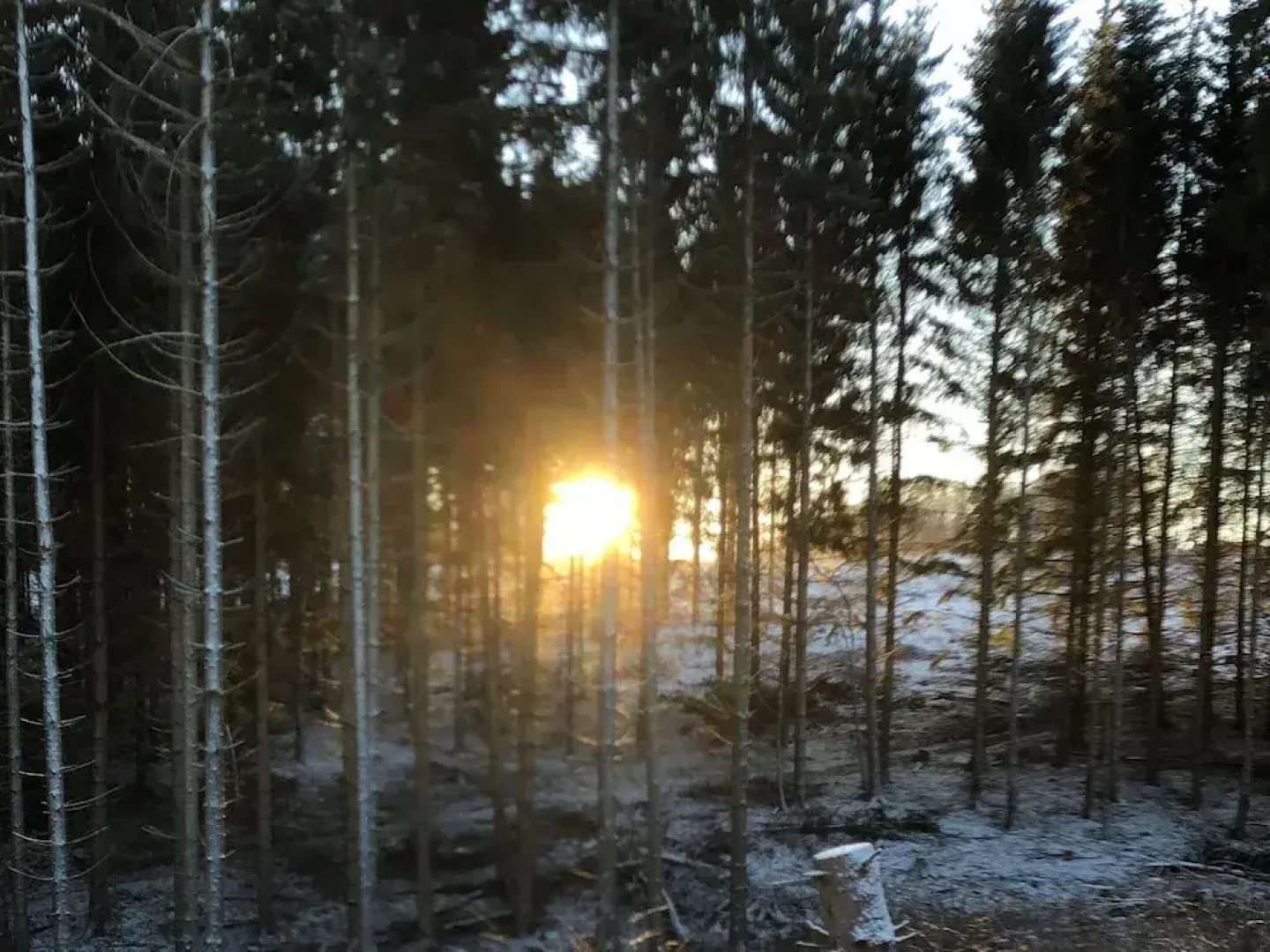 Holiday Home Near Harzgerode With Whirlpool