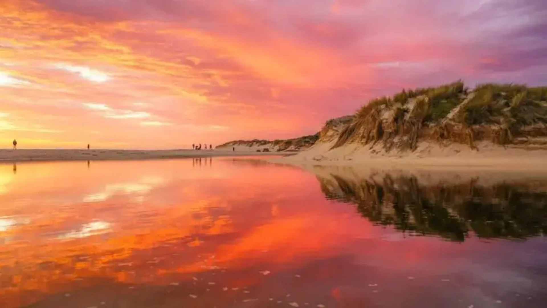 The Roozen Residence