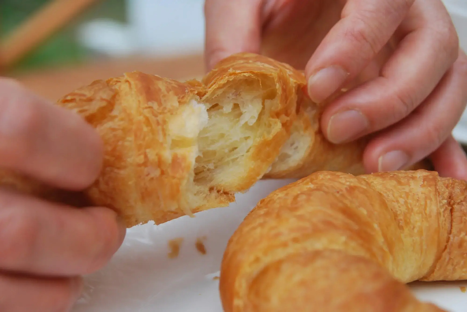 Healing Inn White Pension