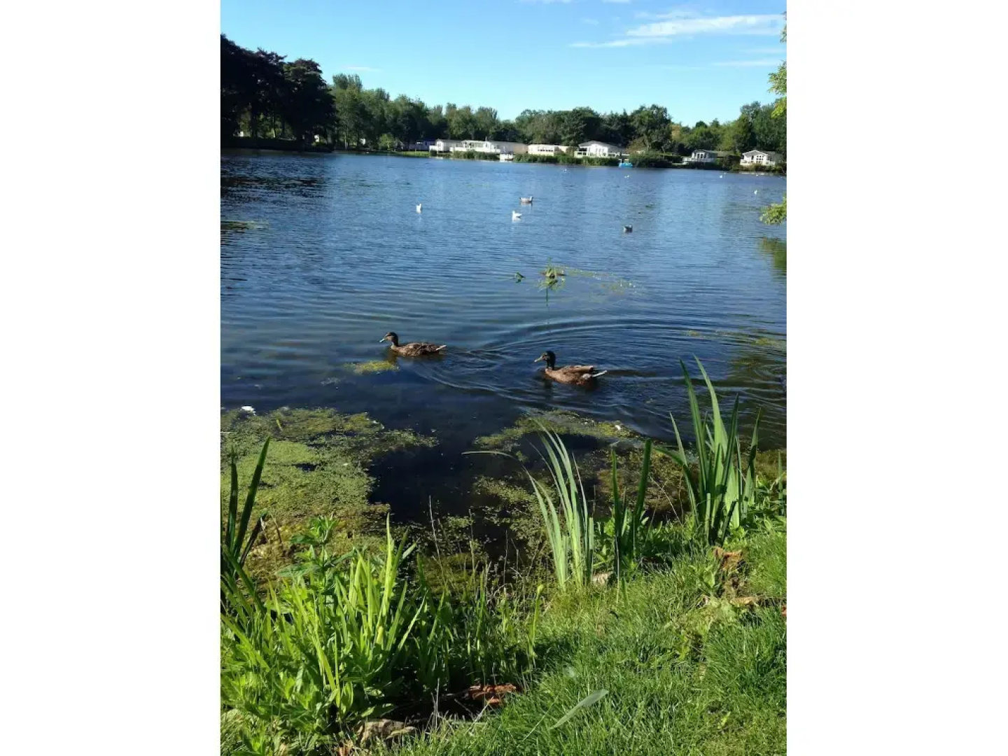 Lakeside east