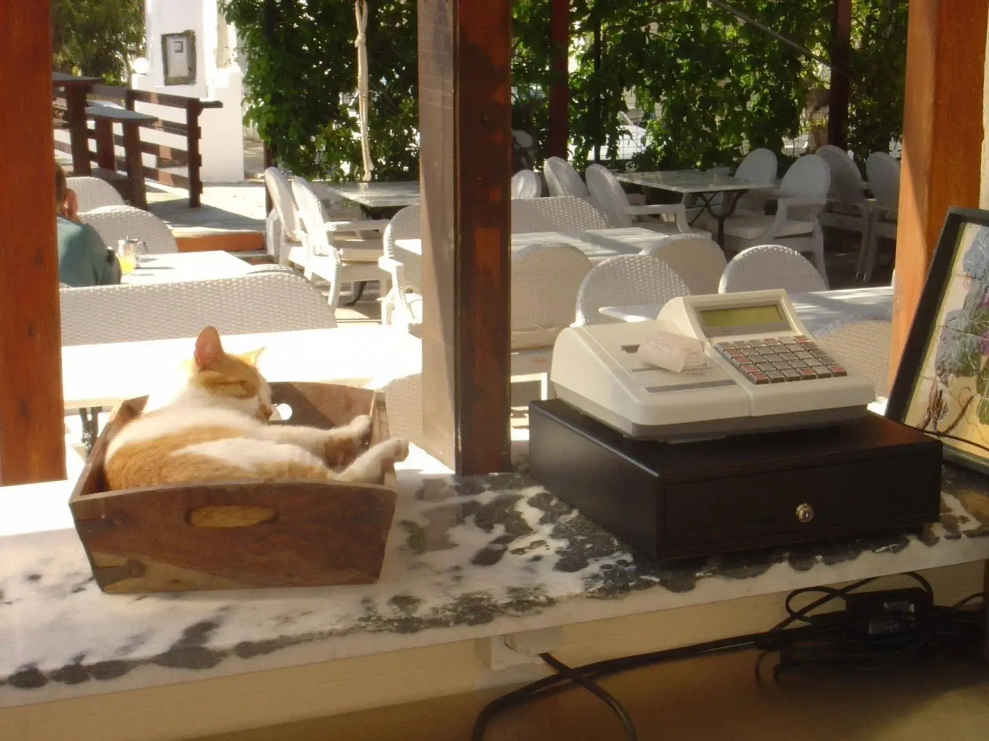 Naxos Summerland resort