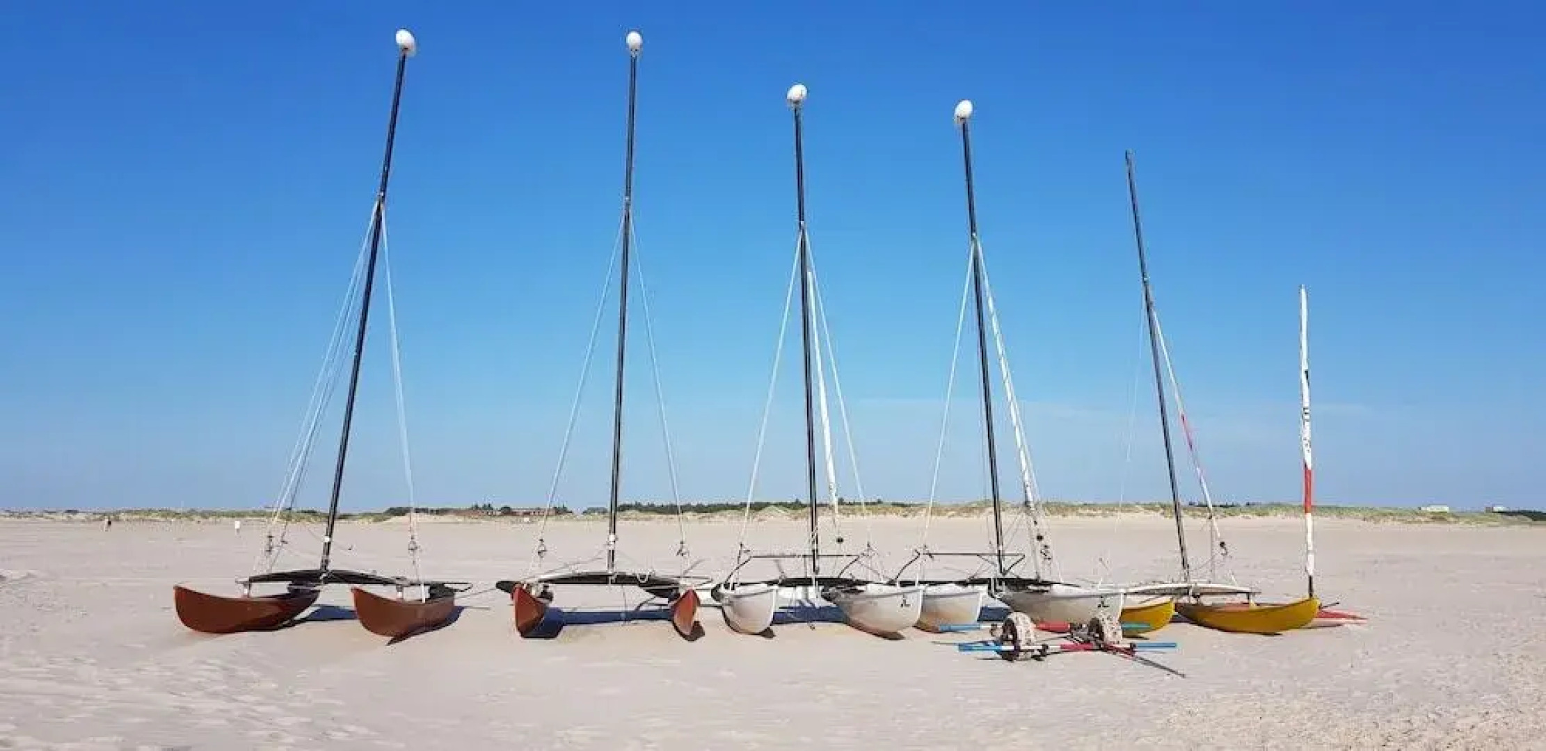Ferienwohnung Silbermöve