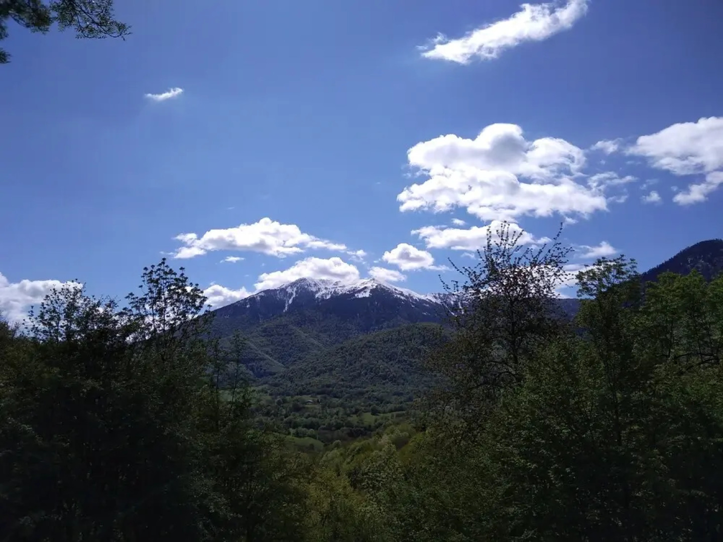 Les Insolites d'Eljie