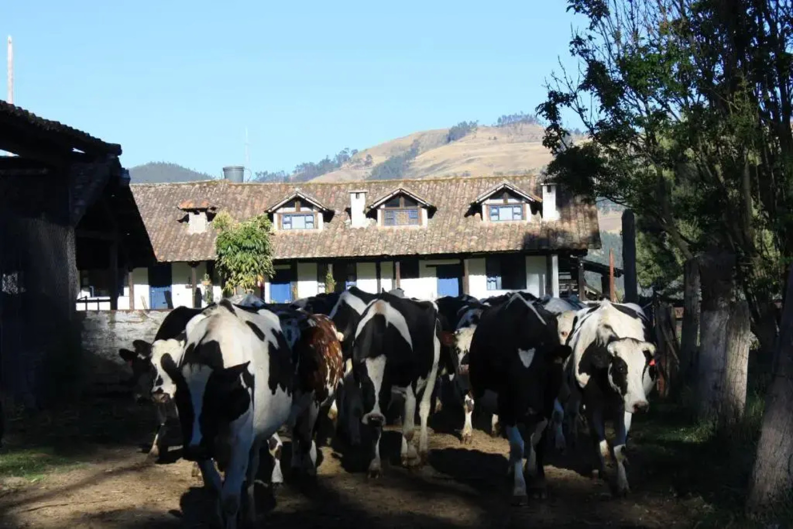 Hacienda La Merced Baja