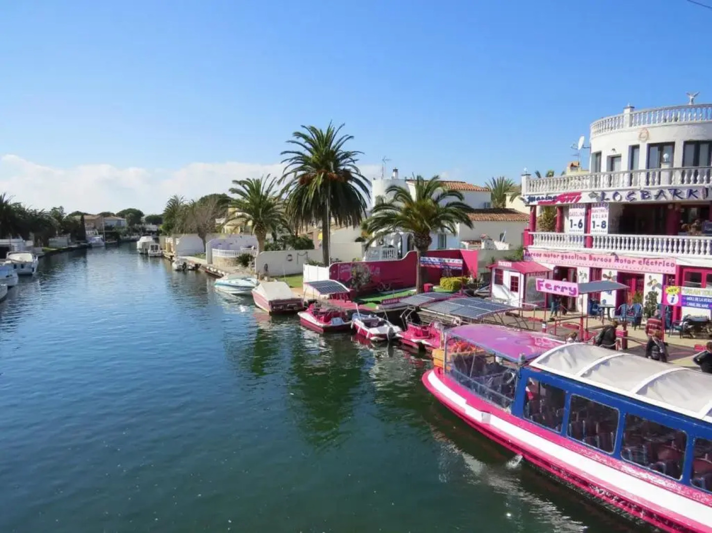 BASIC CONFORT Royal Marine