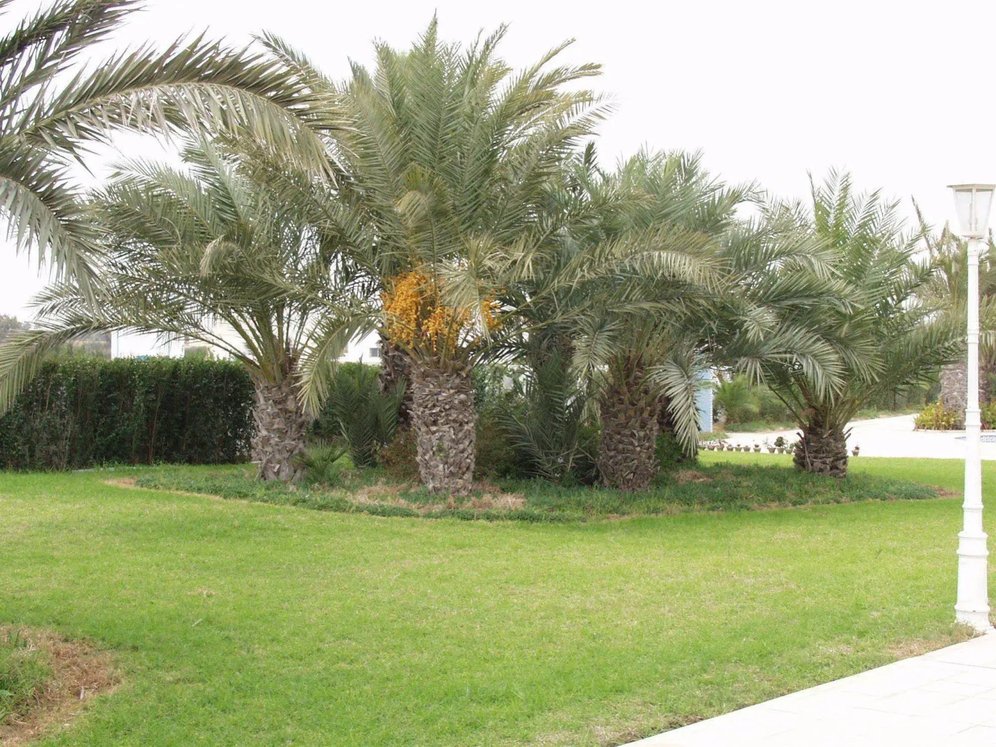 Corail Apart’hotel & Splash park