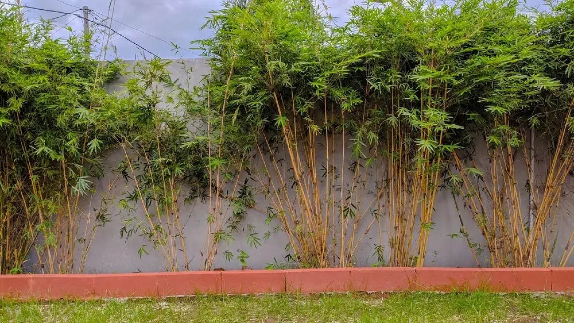 Sakinah Family Residence