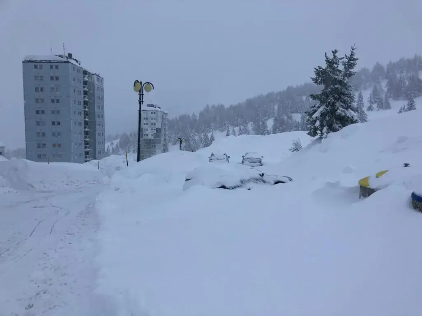 Apartment Tonale