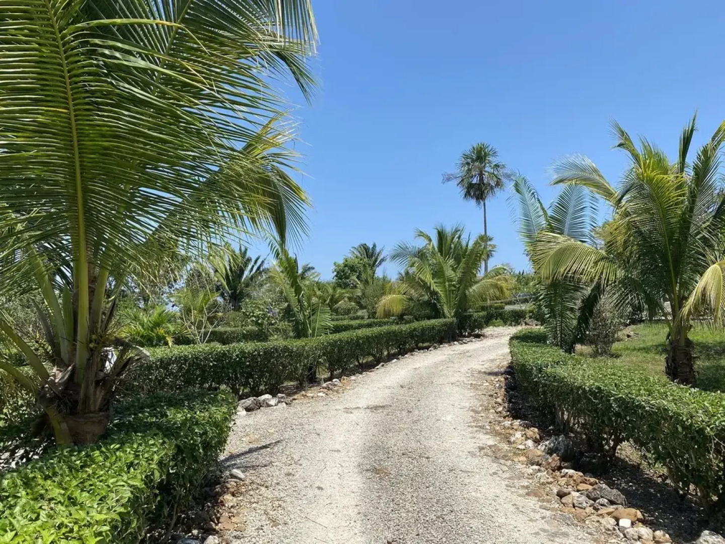 Dream Valley Belize