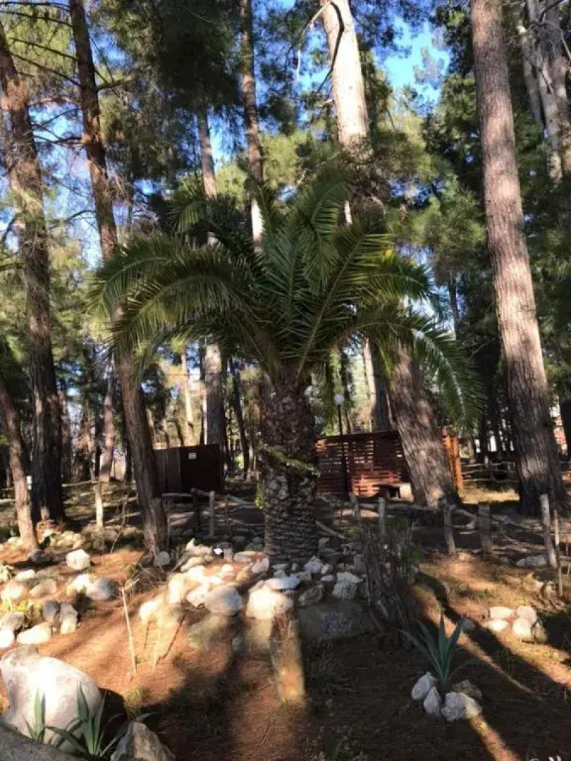 Apartamenty na ul Agrba 3/1