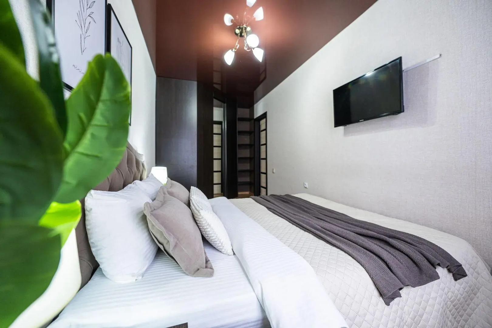 Пять Звезд на улице Сони Кривой 55