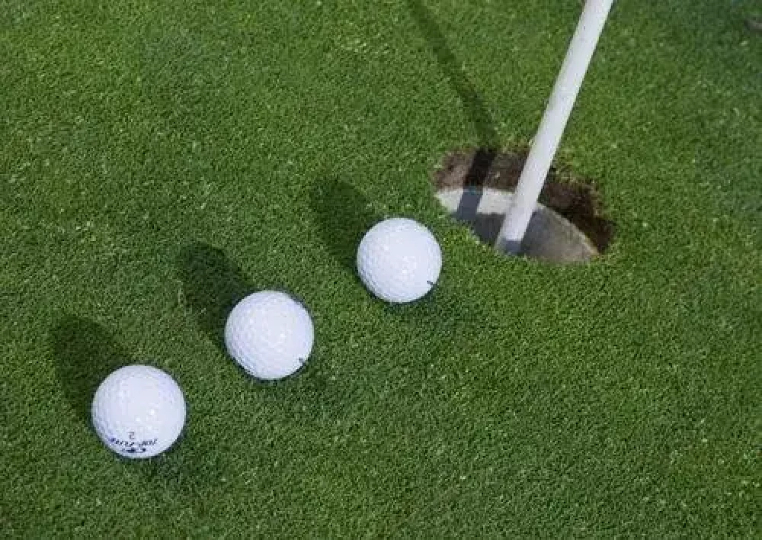 Ringhotel Der Waldkater