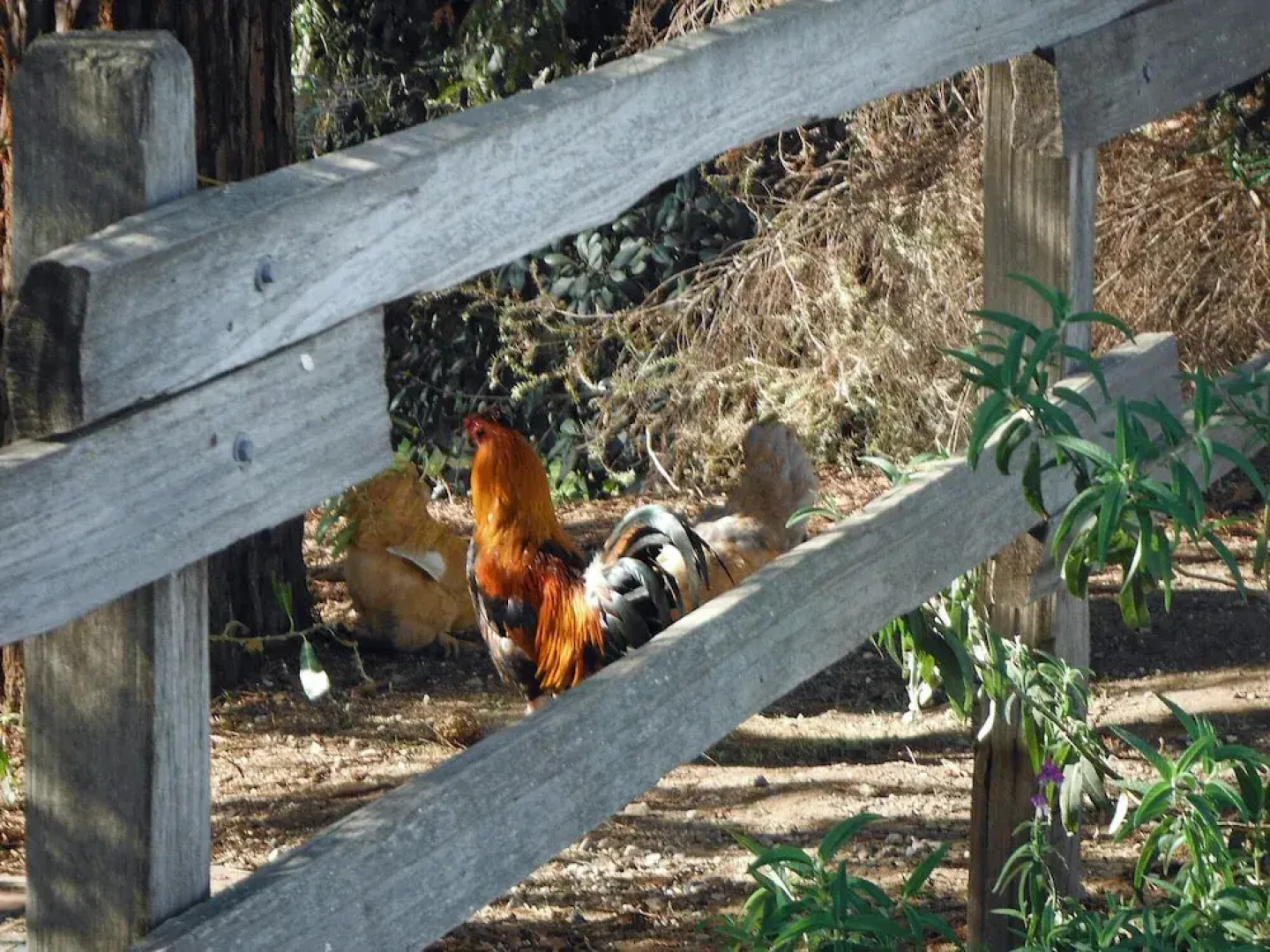 1150 #2 Arroyo Grande - 2 Br Home