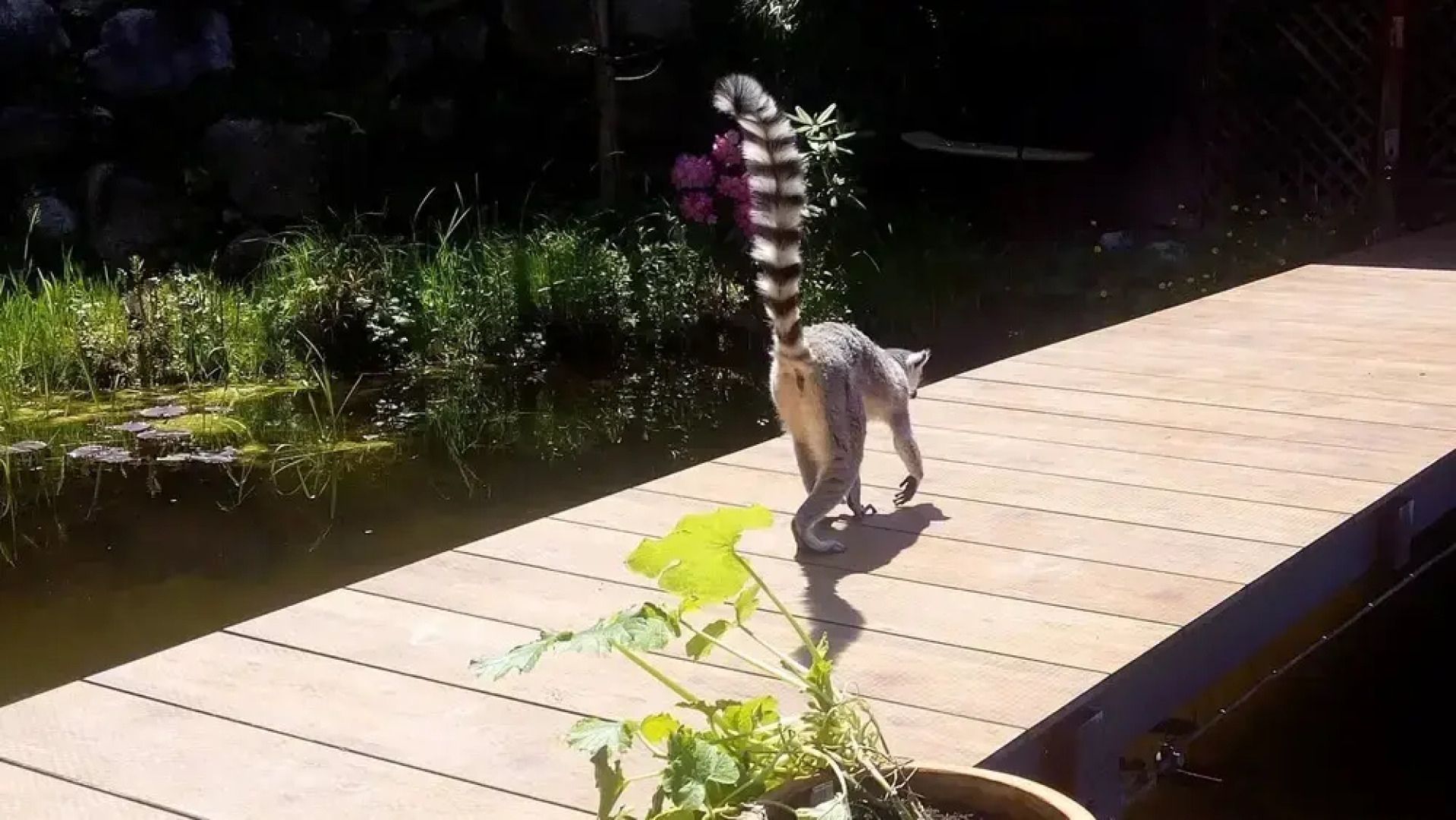 Kaiserhaus Harald Astner Ebbs Studio 1