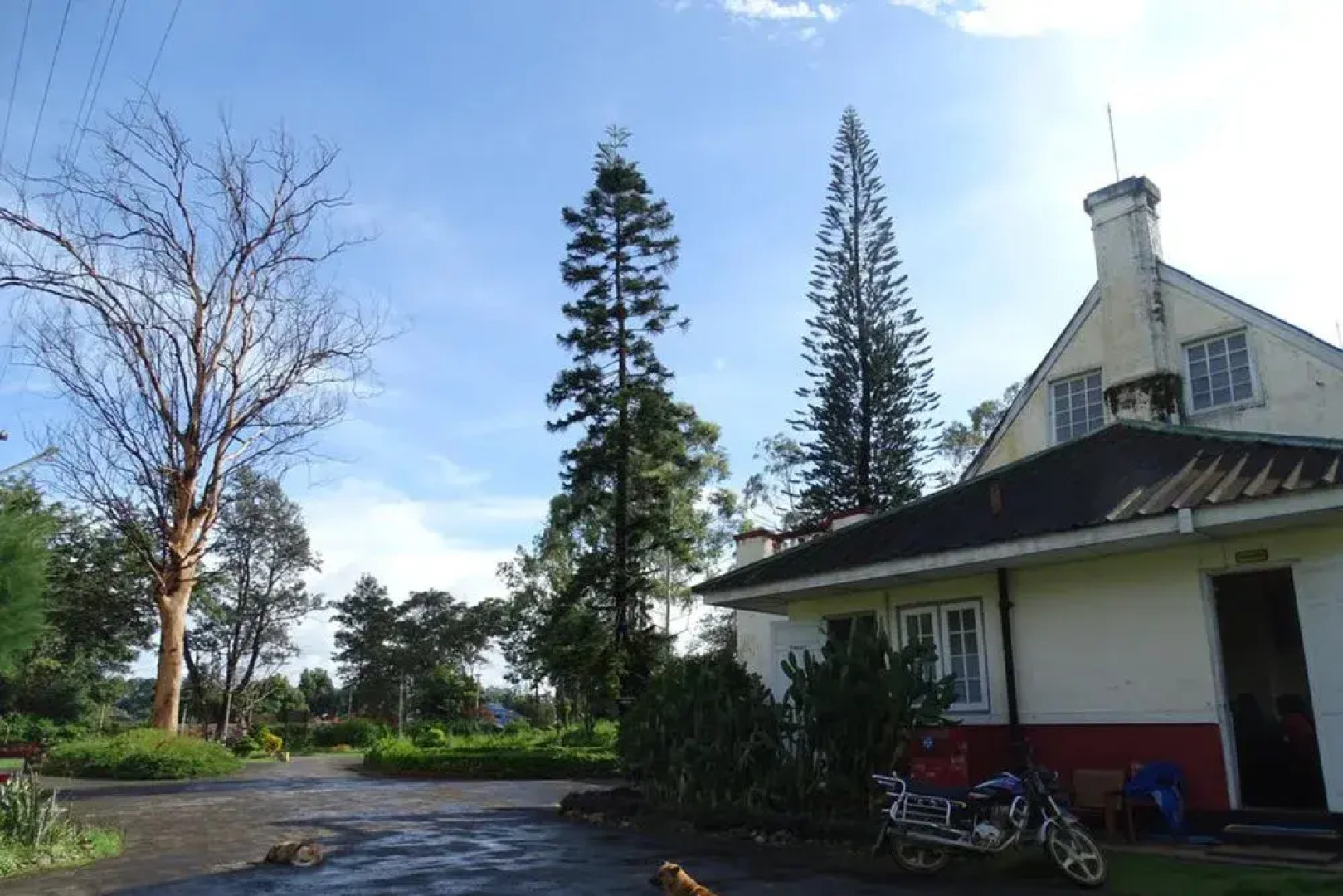 Orchid Nan Myaning Hotel