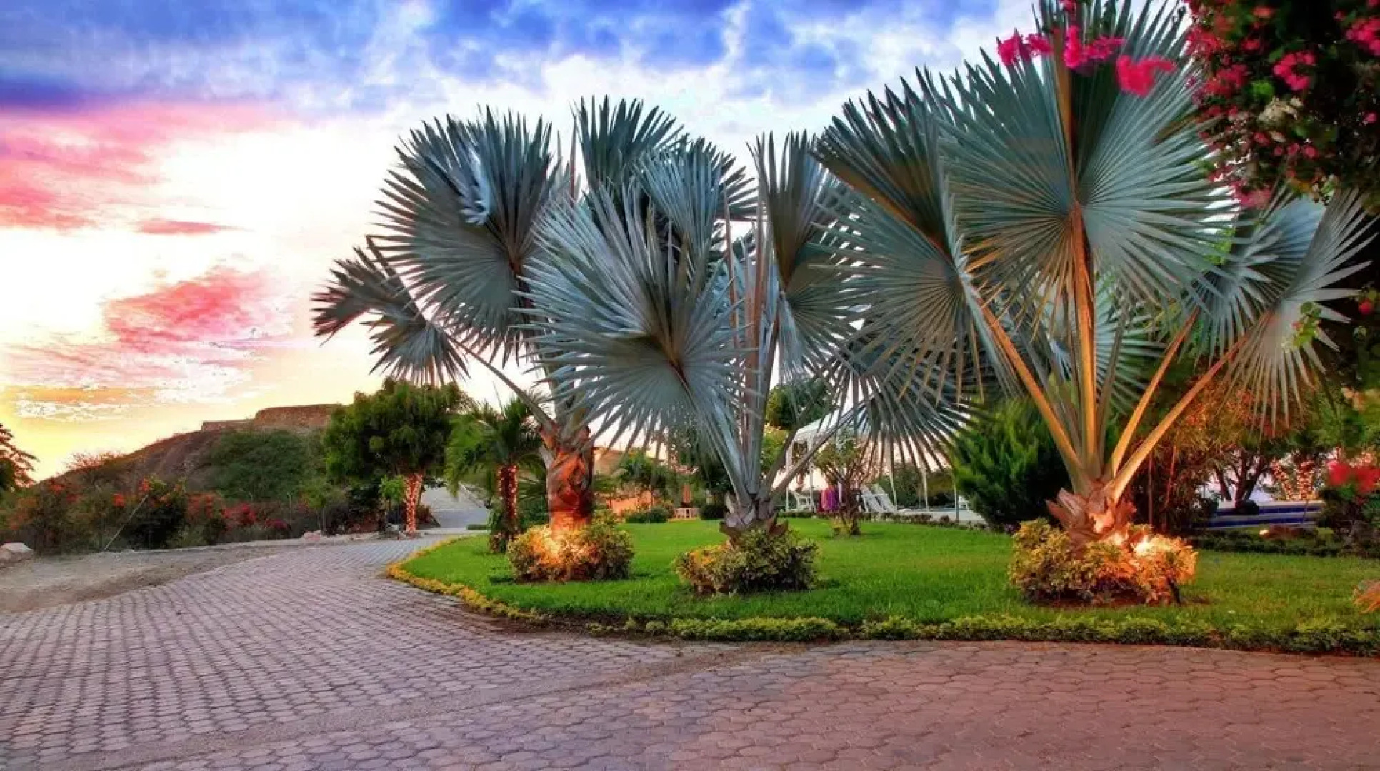 Saint Patricks Lodge