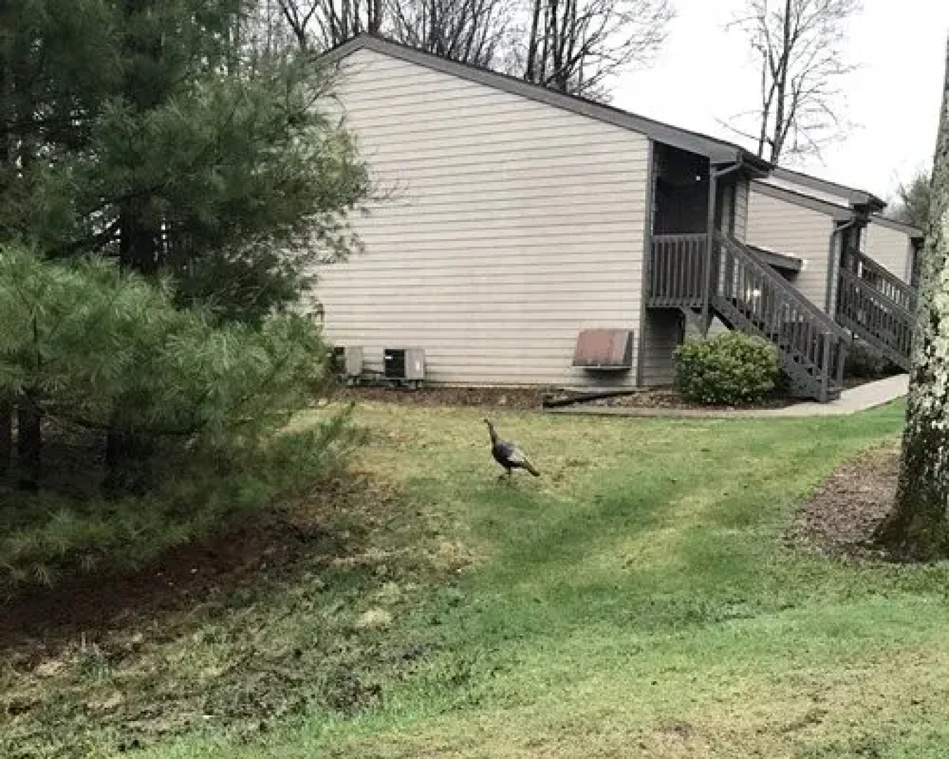 Westwood Villas, Lake Harmony, USA