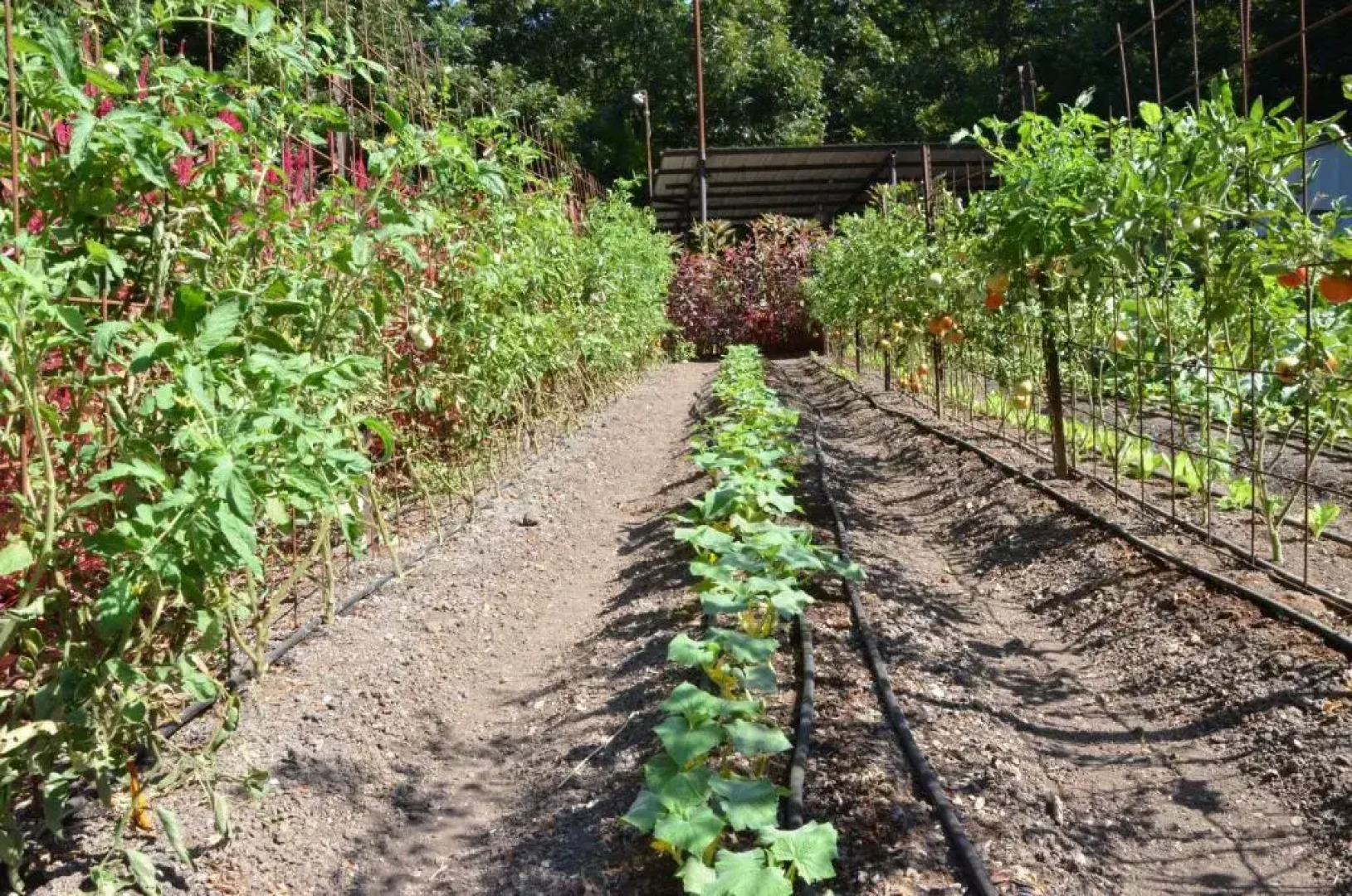 Vitrage Holiday Village and Spa