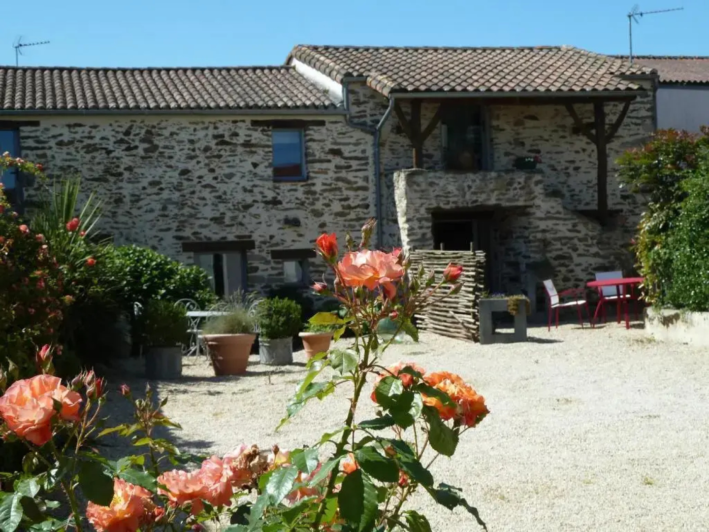 Fleur de Vigne