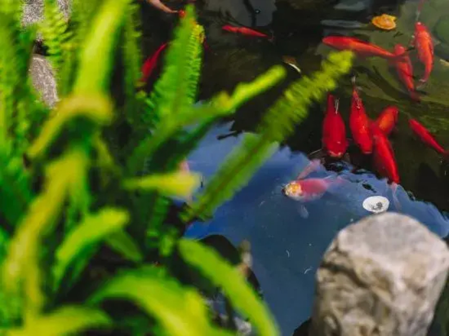 Shanglan Boutique Inn