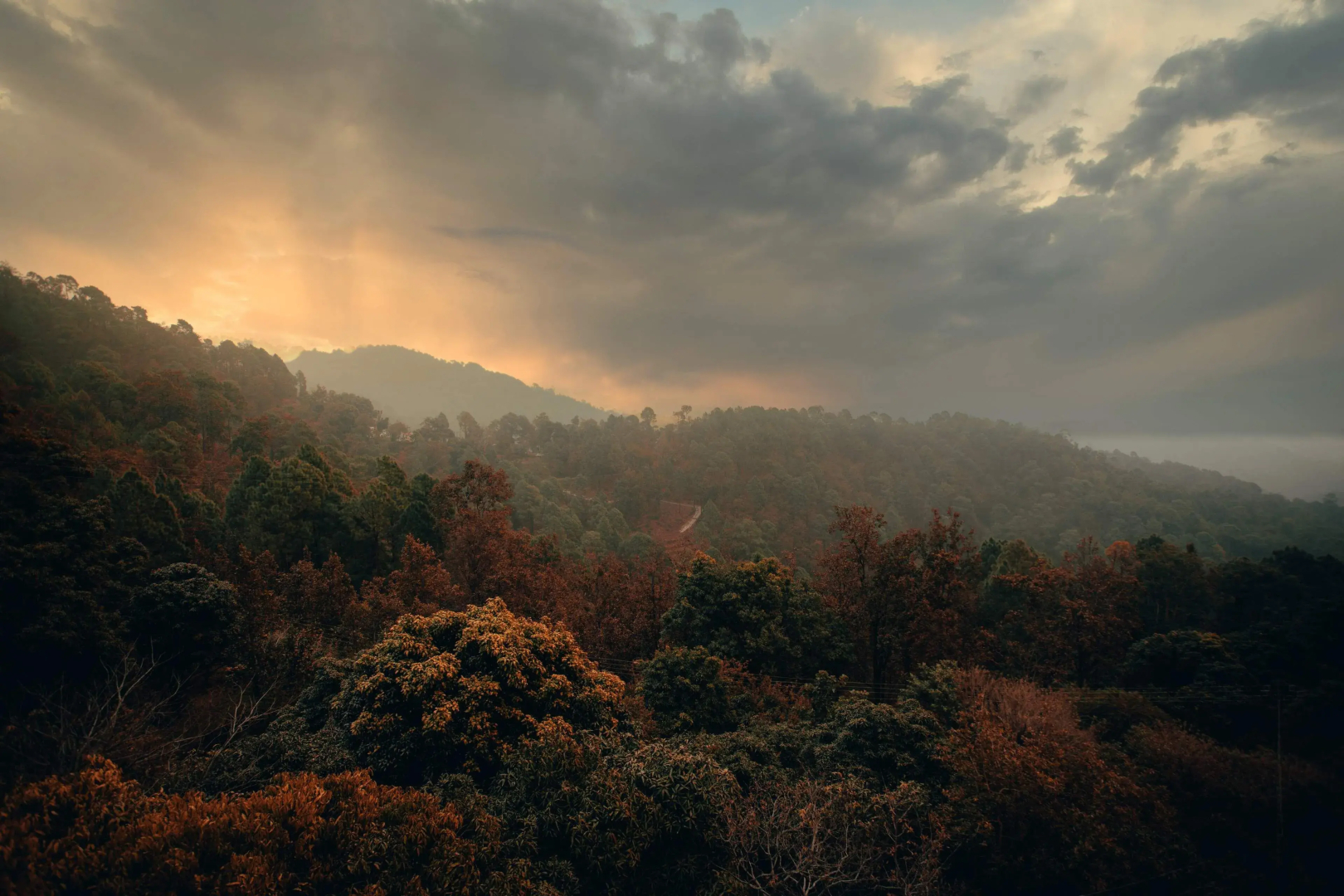 Seclude Lansdowne - Uttarakhand