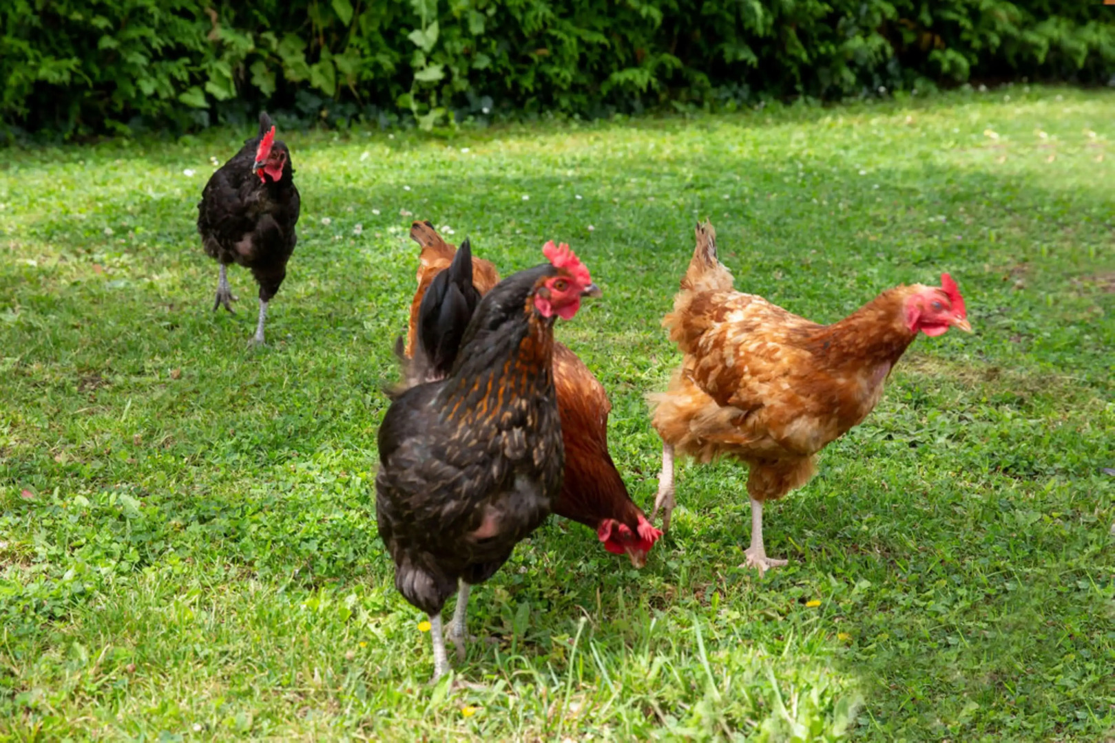 Best Western La Porte des Châteaux