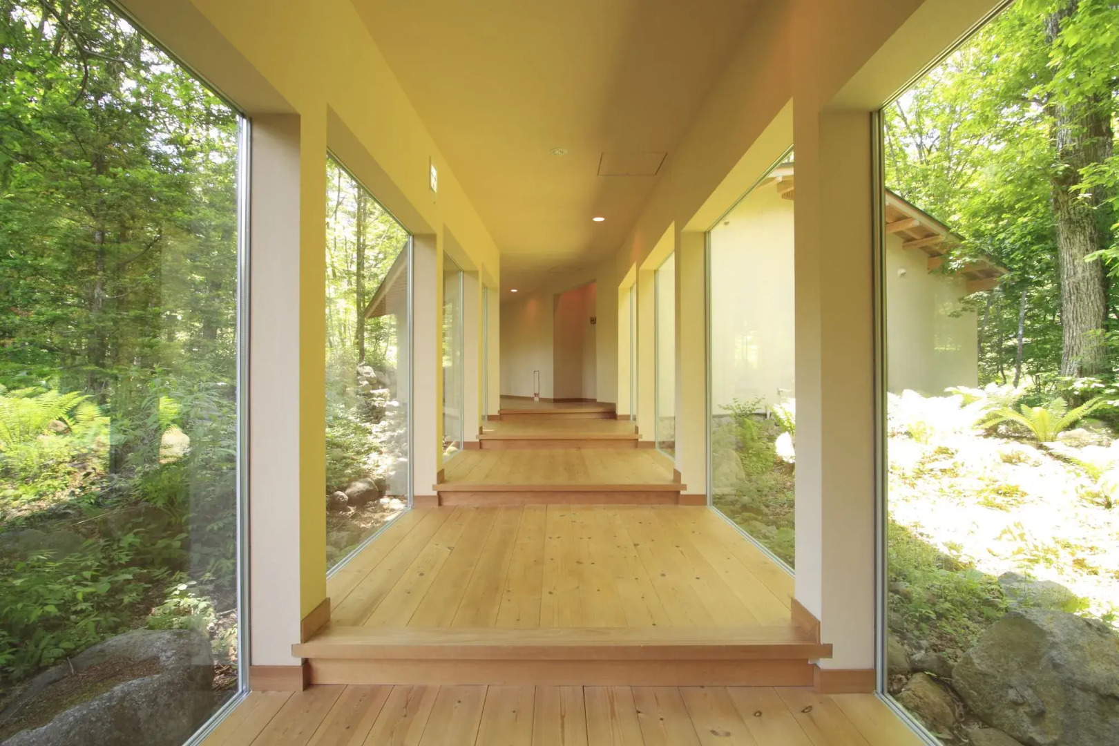 Mozumo - Adults Only