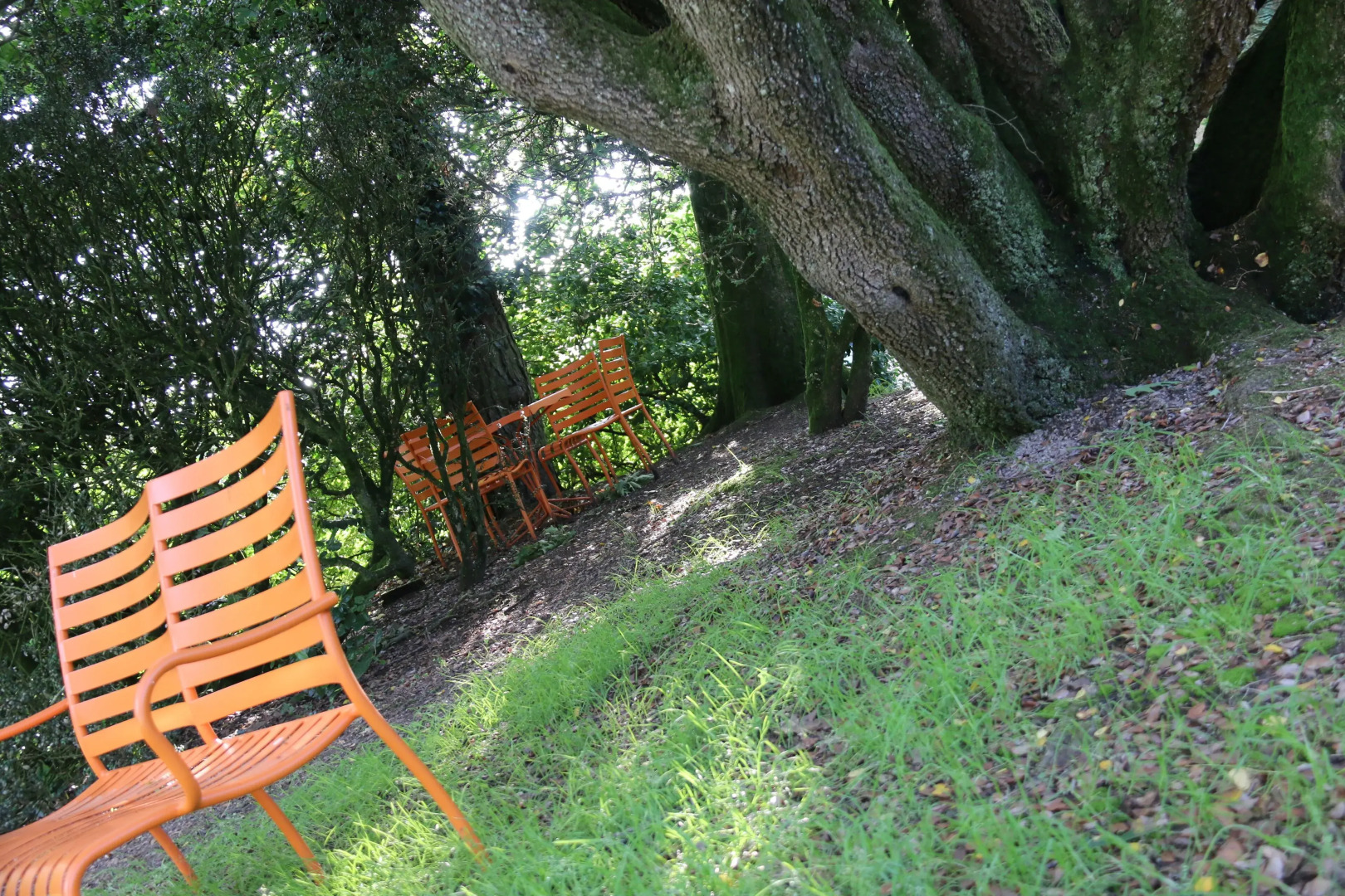 Le Château des Tourelles en Vendée
