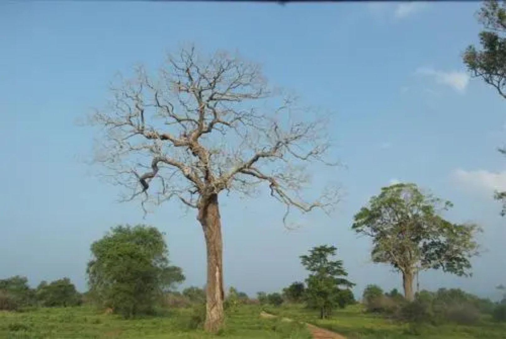 Walawe Park View Hotel