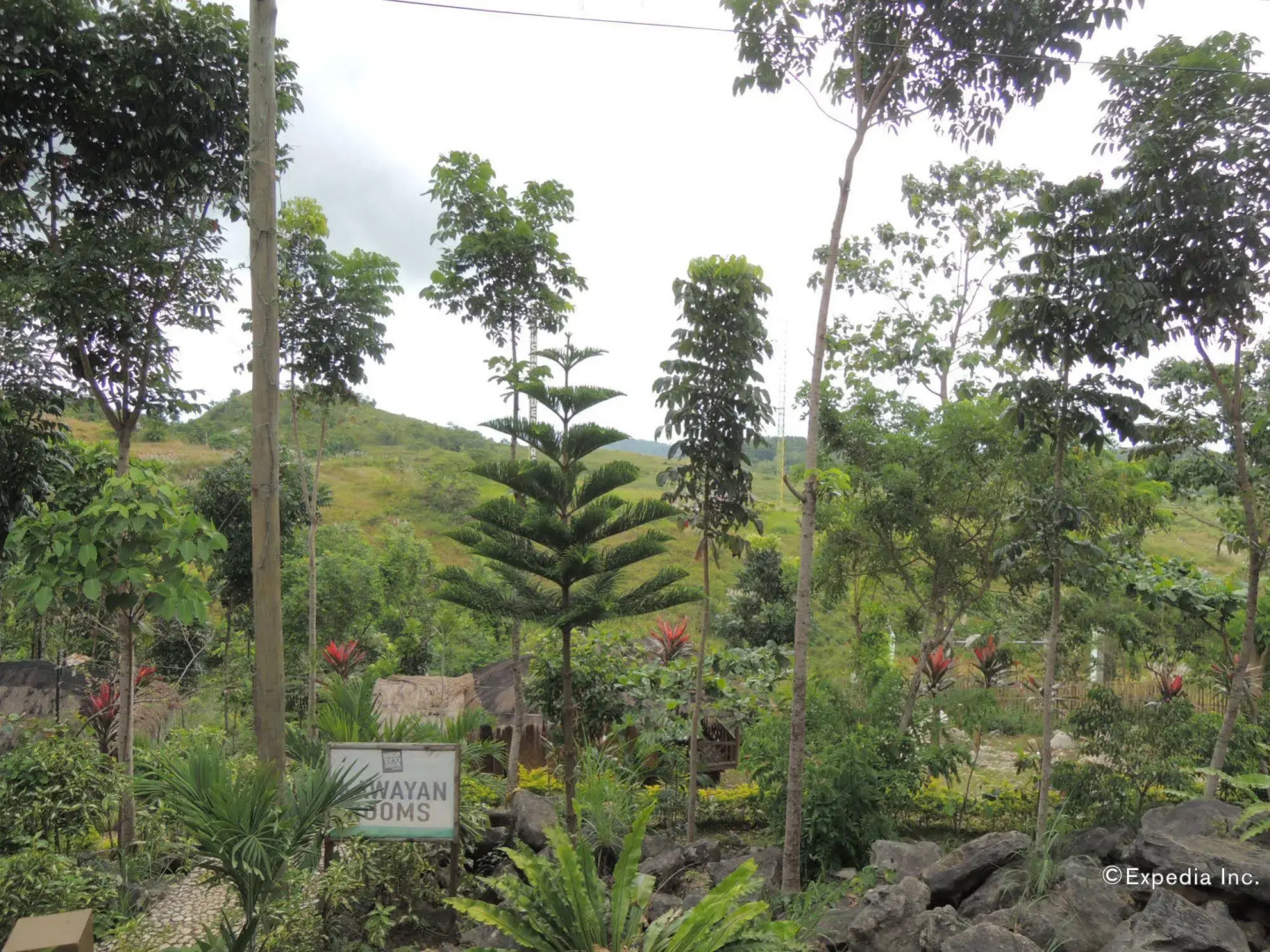 Danasan Eco Adventure Park