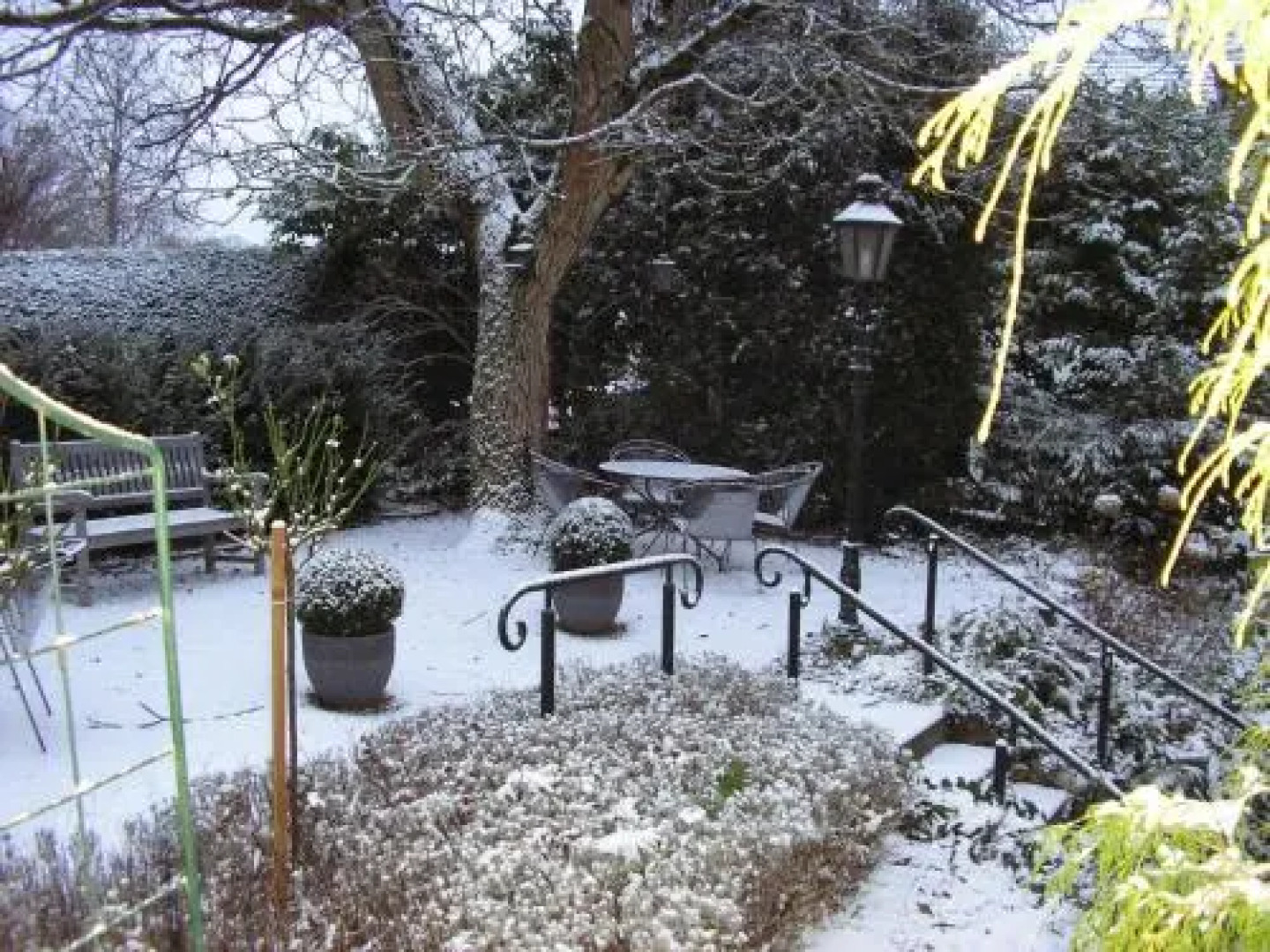 Walnut Lodge Bed & Breakfast