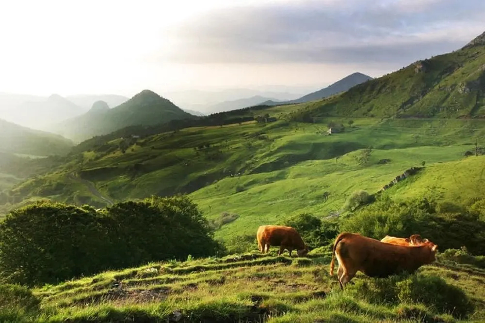 Logis Le Clair Logis