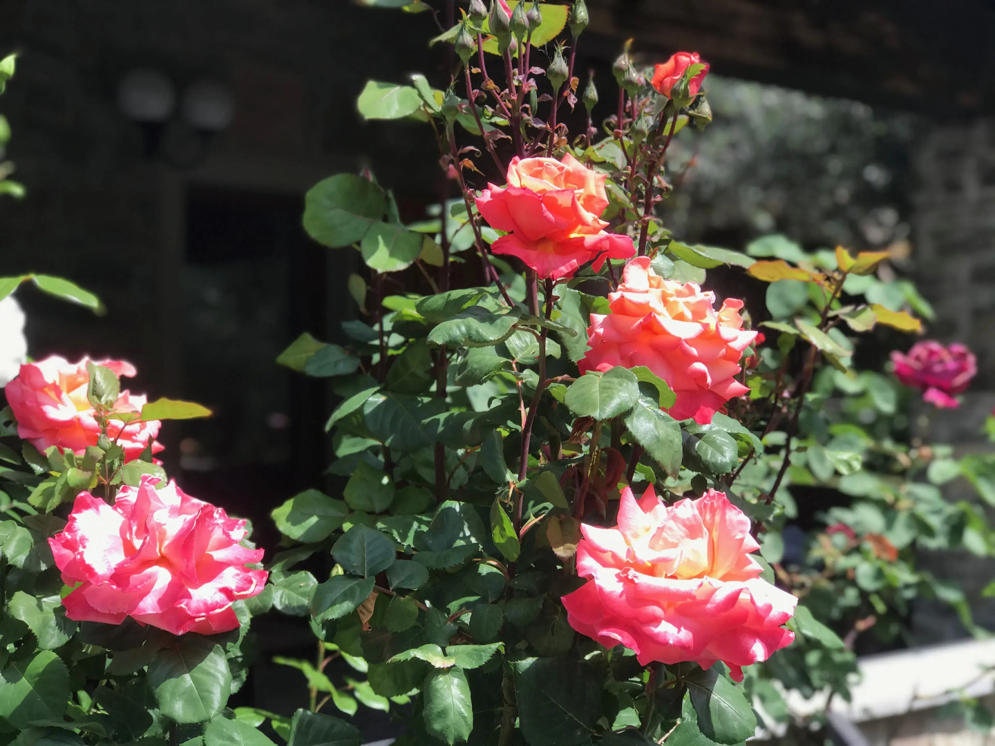 Relais San Filippo In Sogaglia