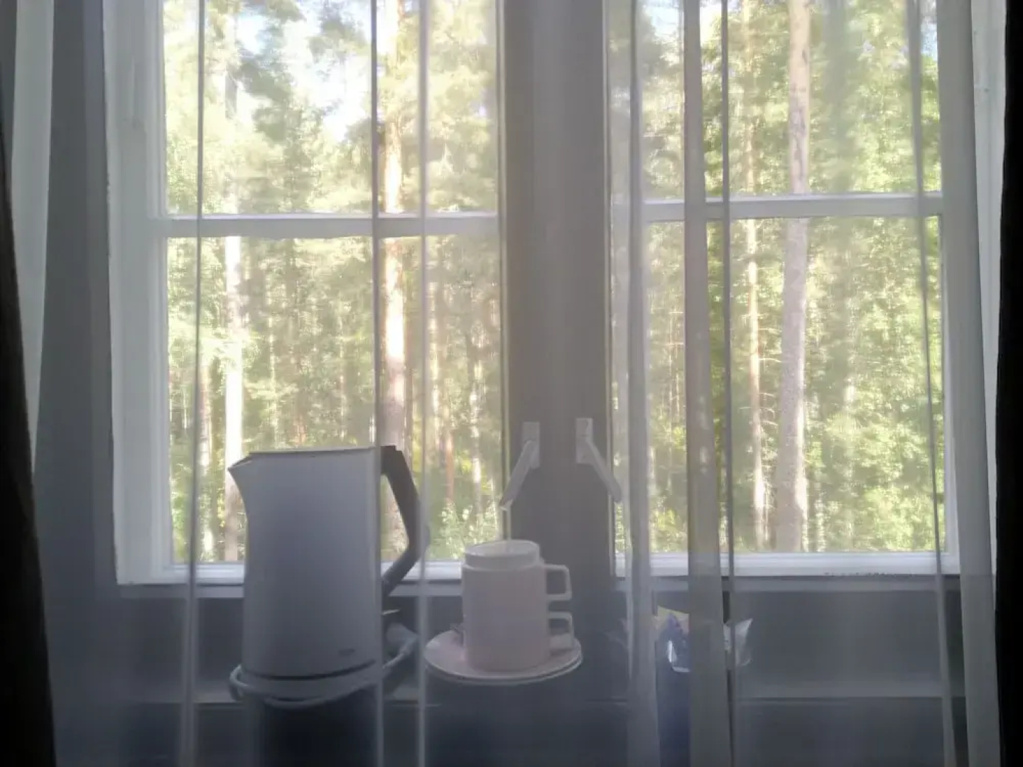 Hotel Punkaharju