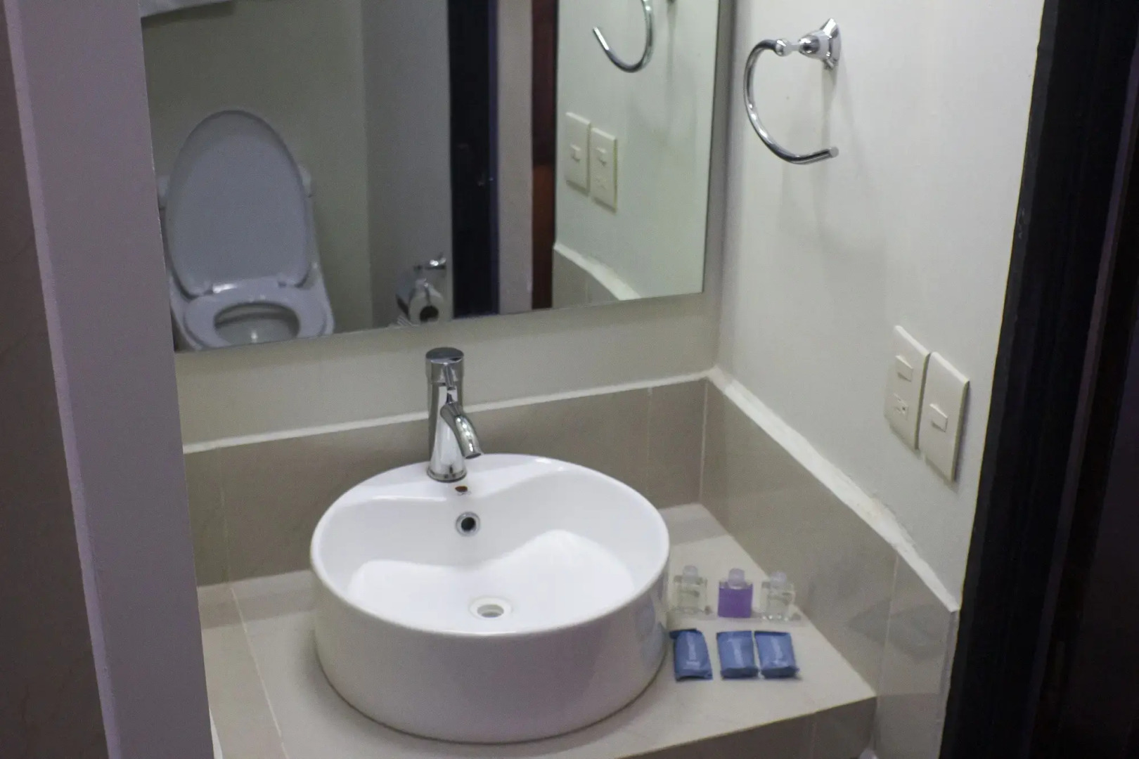 Hotel Posada de la Moneda