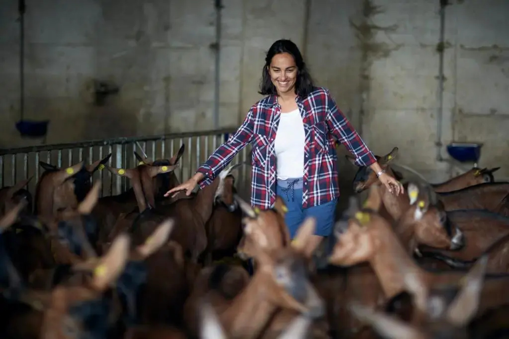 Agriturismo Deviscio