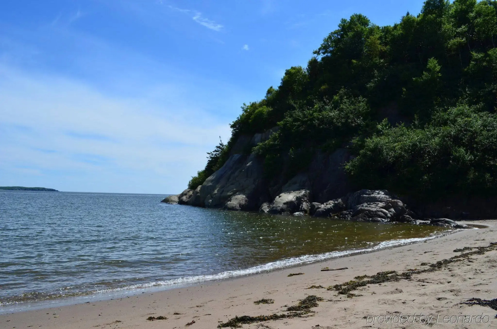 Best Western Plus Saint John Hotel & Suites