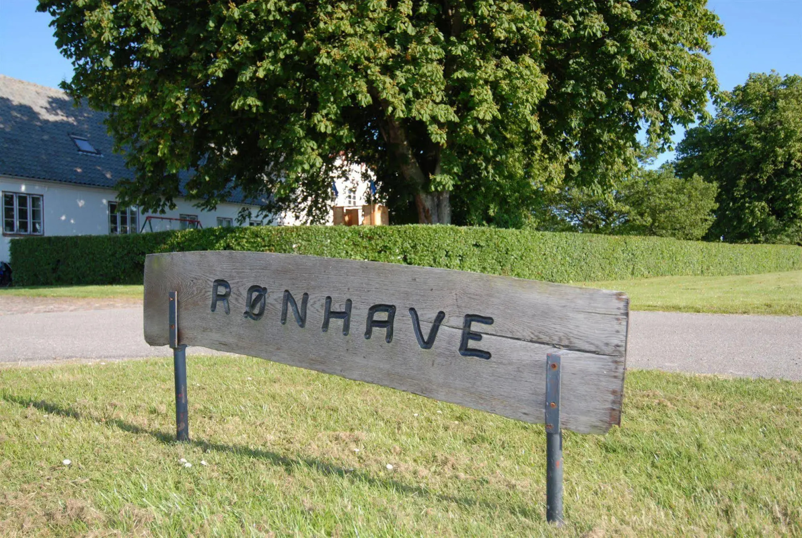 Rønhave