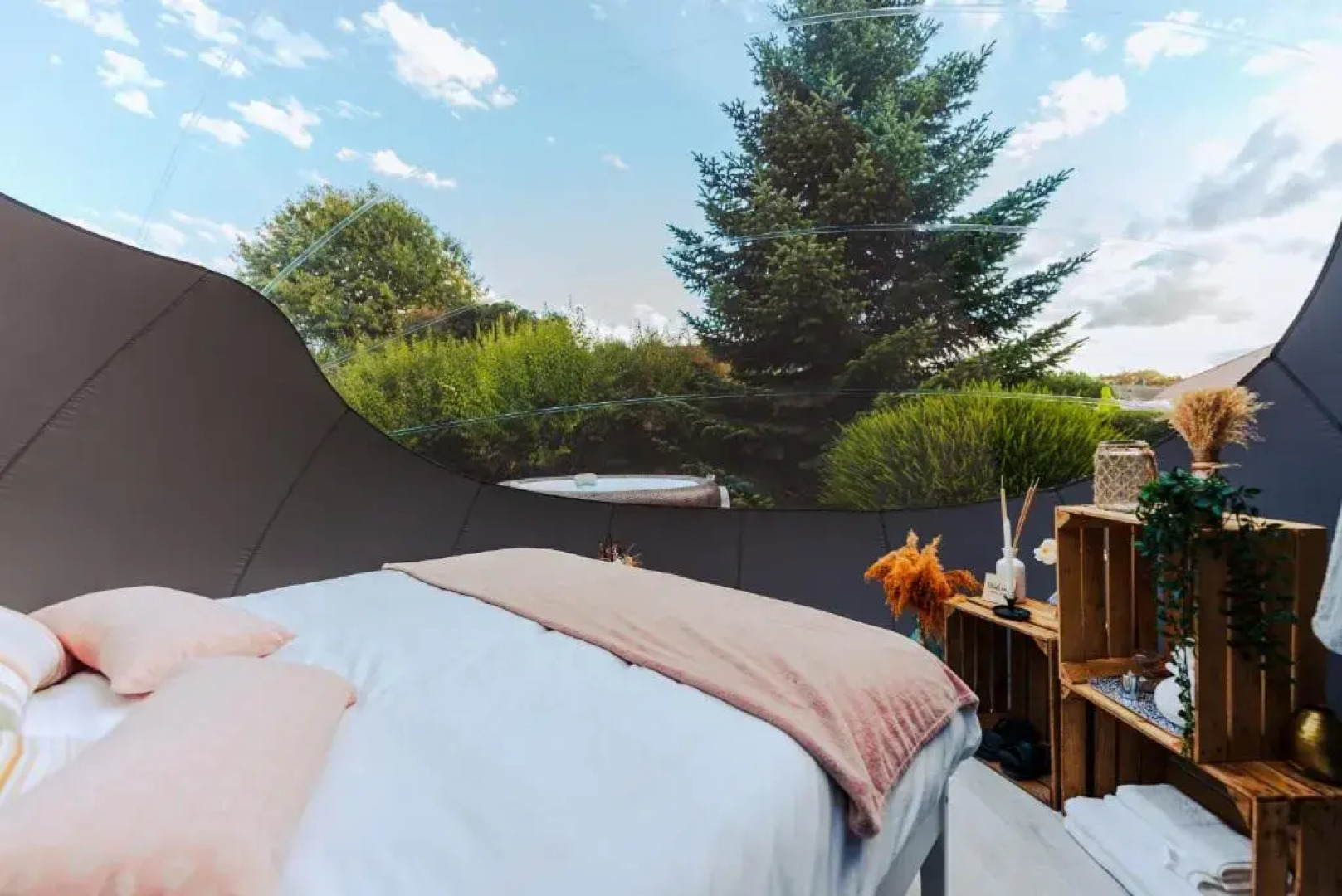 Reves2bulles (Adults Only)