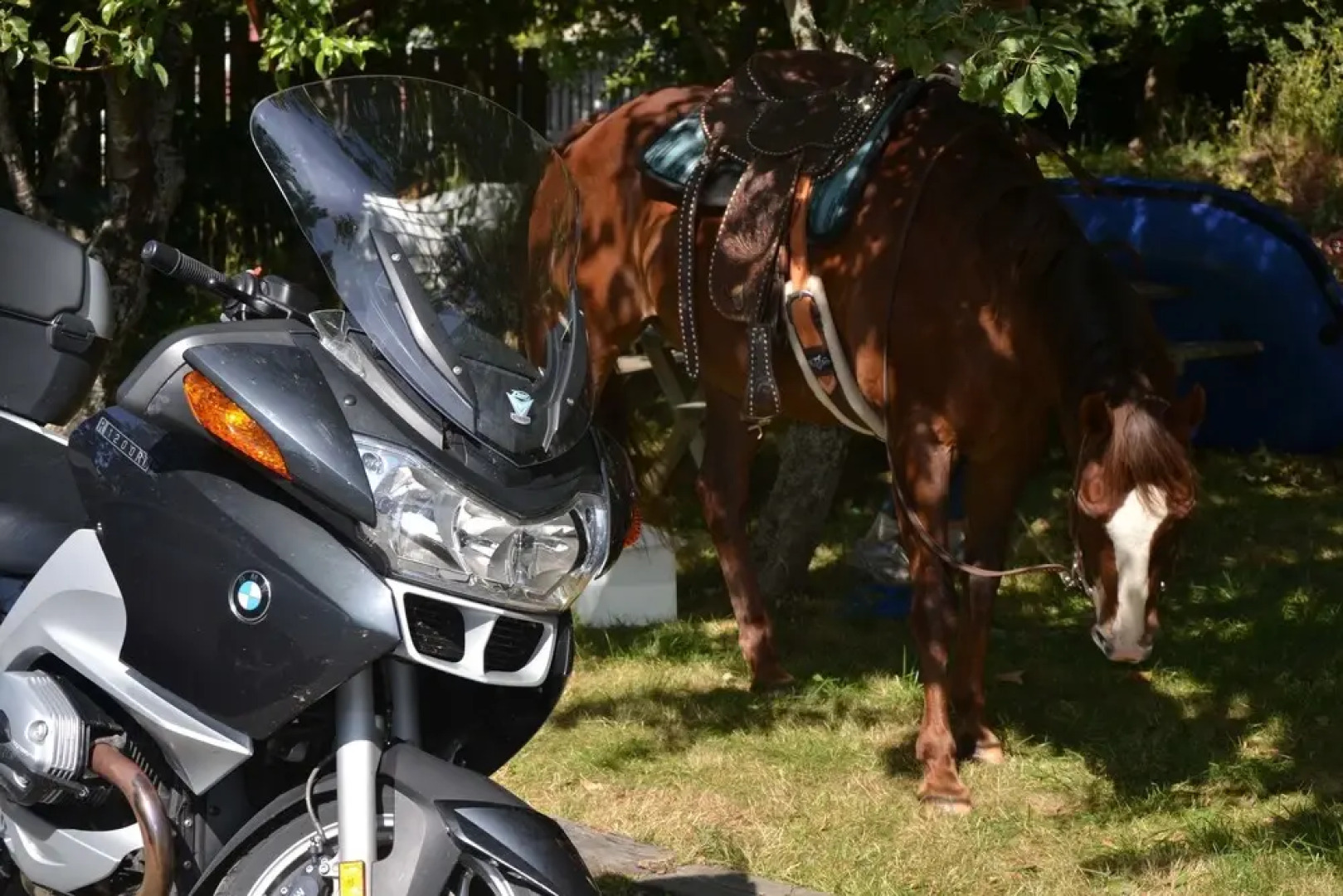 Argyle House Bed and Breakfast