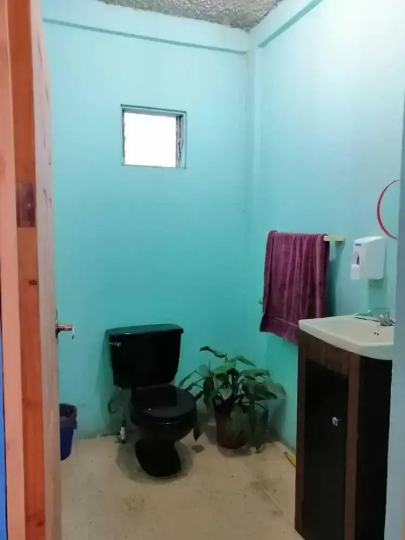 Sofi's Hostel Monteverde