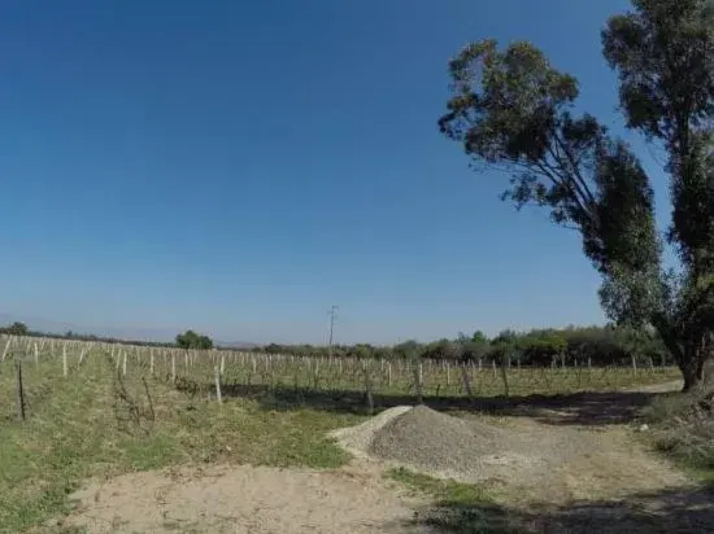 Ryad de Vignes " Le Val d'Argan "