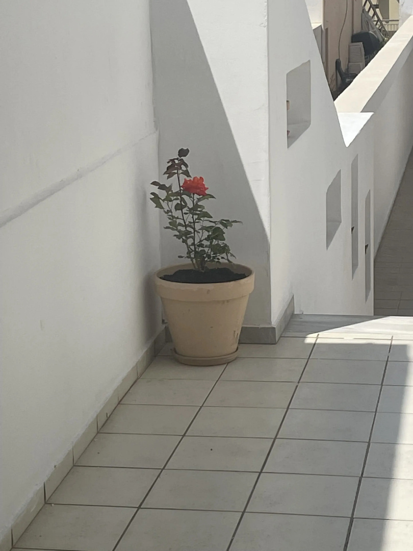 Coralli Beach Hotel