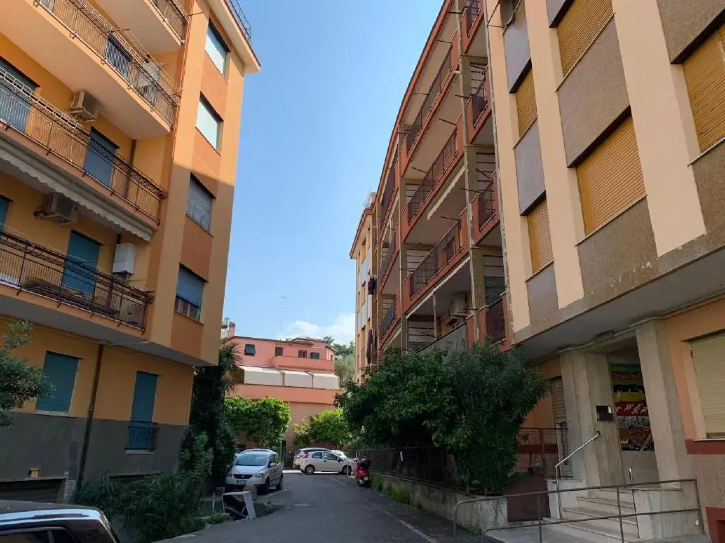 House Sunflower by Holiday World