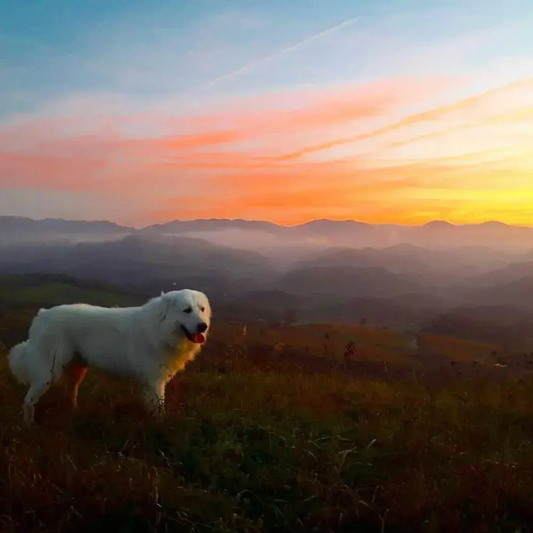 agriturismo il melo rosso