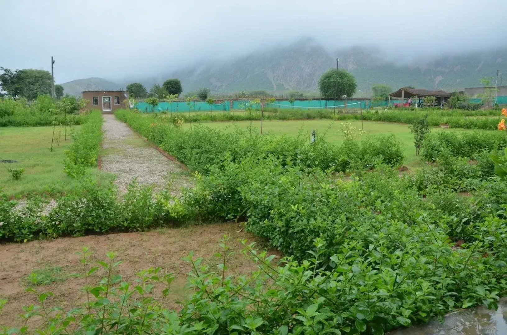 The Tiger Hill Sariska Resort