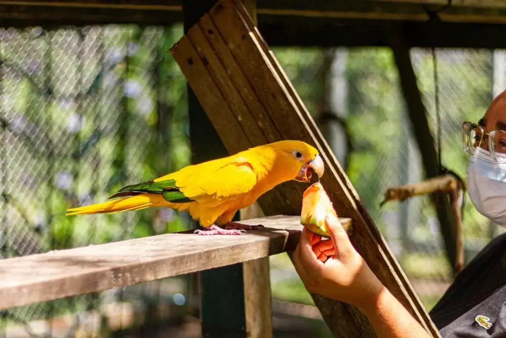 Eco Luar Boutique Hotel