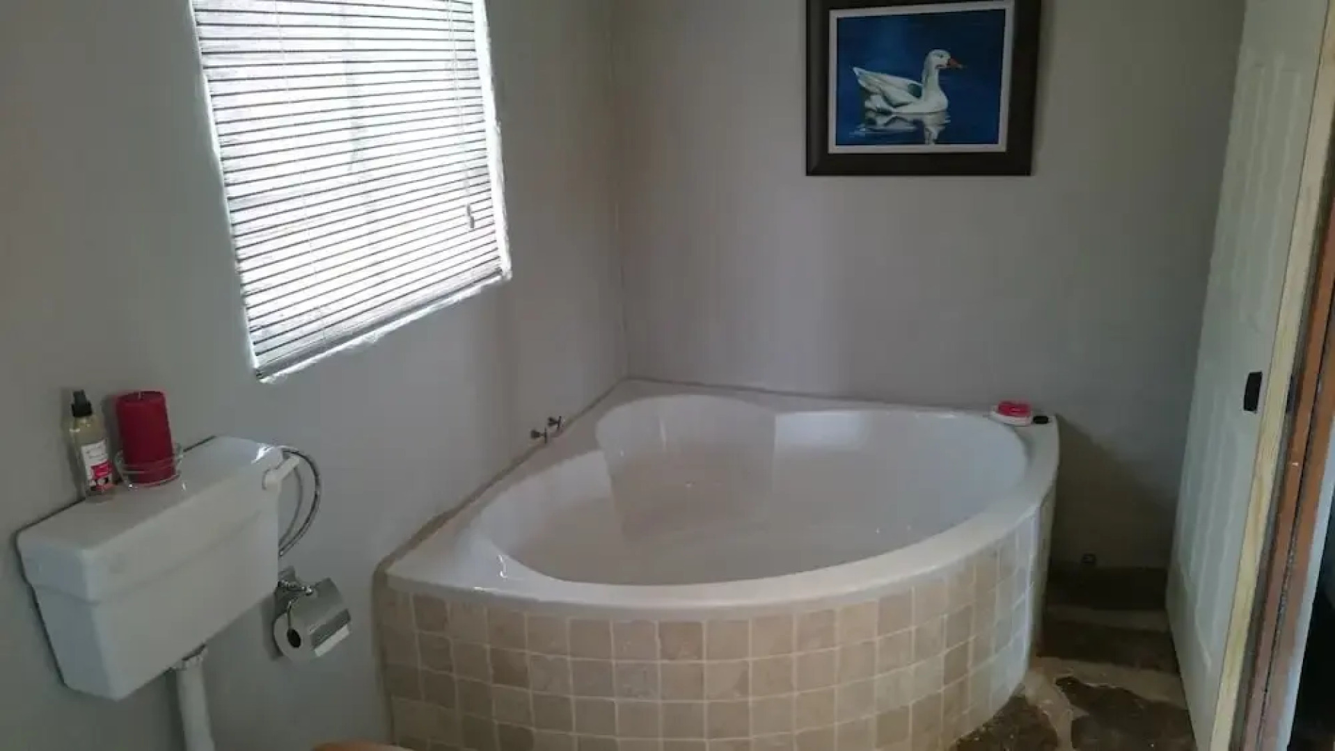 Springwater Cottages